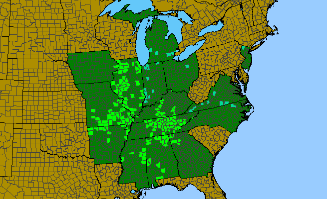 The range of Heterotheca camporum var. glandulissima